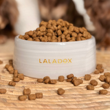 Premium Marble Dog Bowl | White Onyx