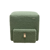 Australia First Dog Steps Ottoman Moss