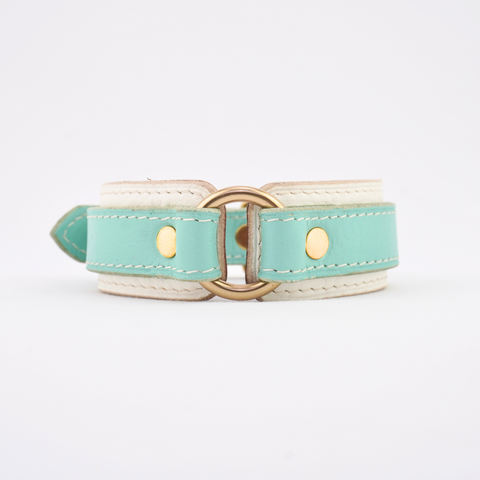 Leather Dog Collar - Turquoise