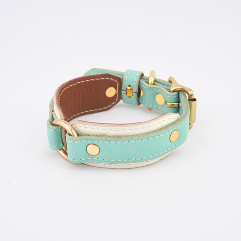 Leather Dog Collar - Turquoise
