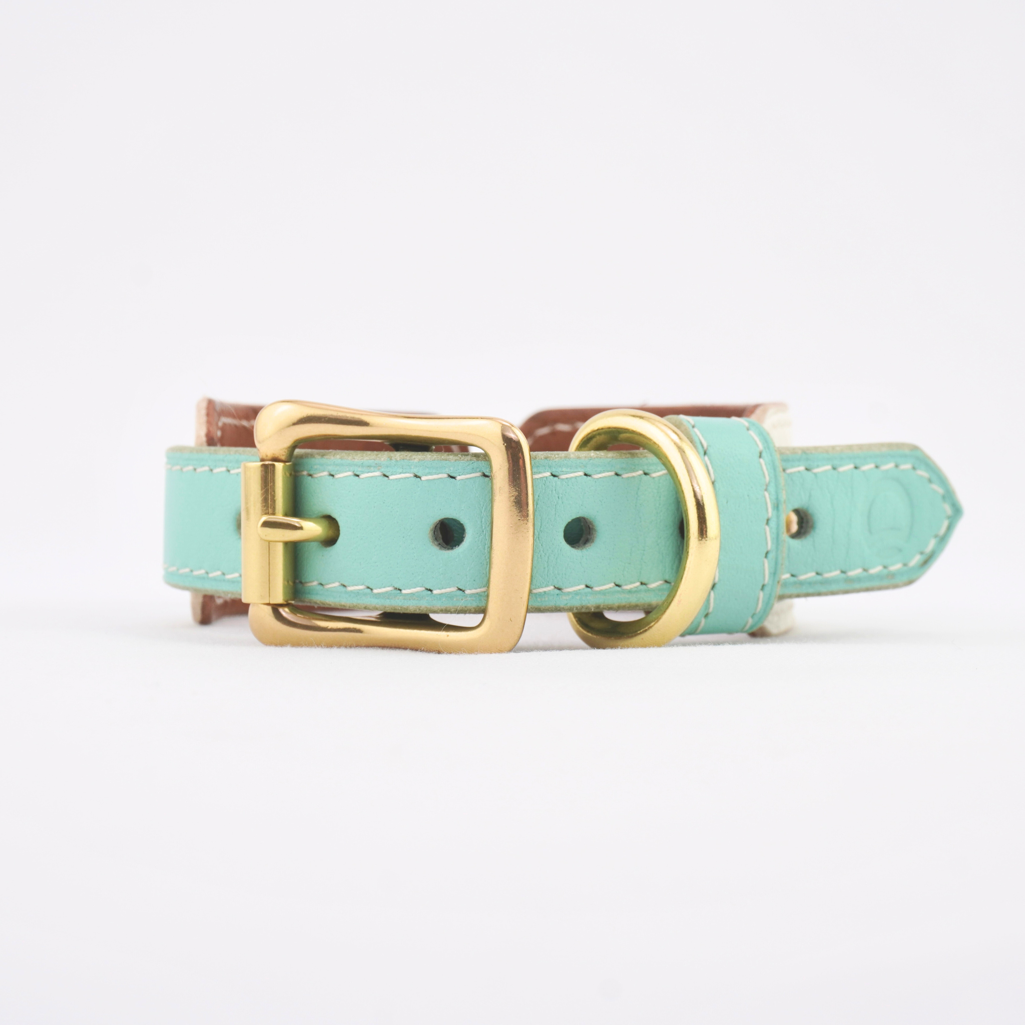 Leather Dog Collar - Turquoise