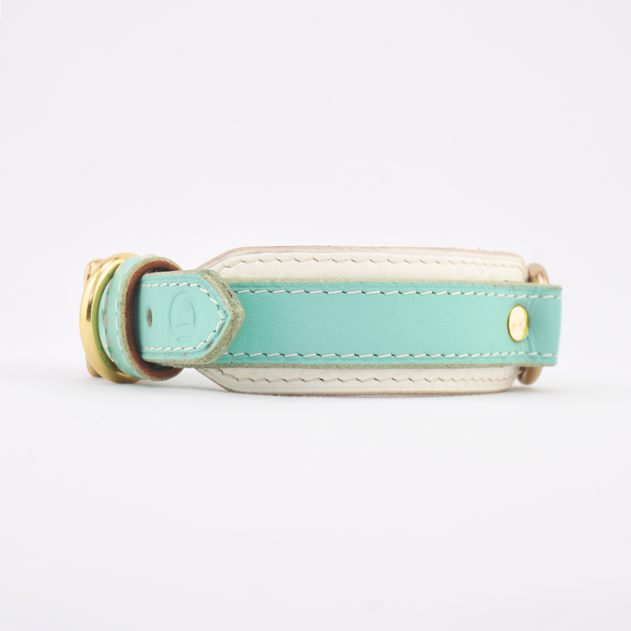 Leather Dog Collar - Turquoise