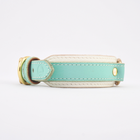 Leather Dog Collar - Turquoise