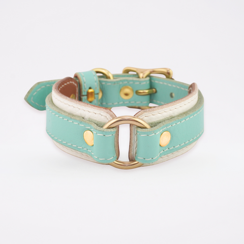 Leather Dog Collar - Turquoise
