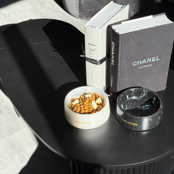 Premium Marble Dog Bowl | Black