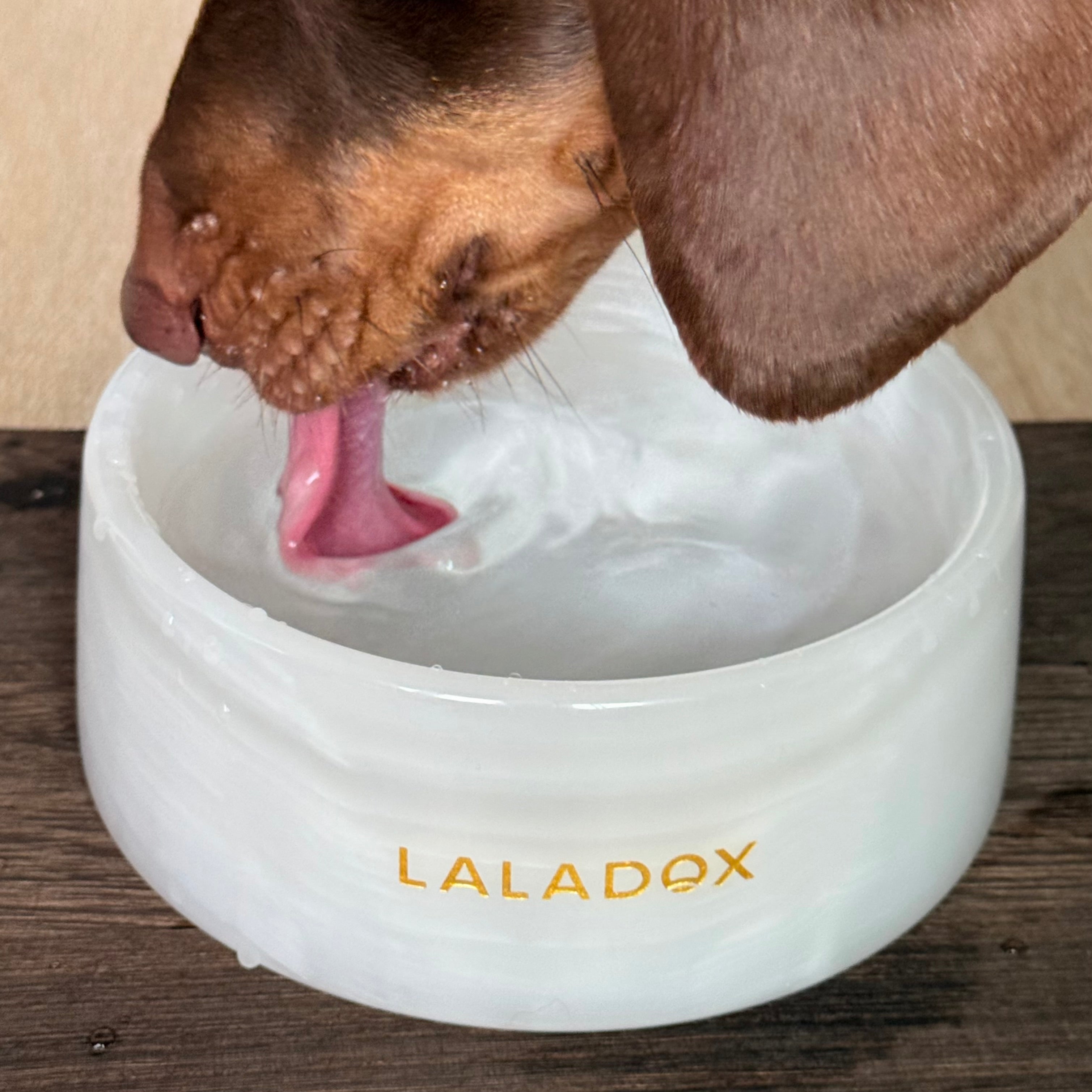 Premium Marble Dog Bowl | White Onyx